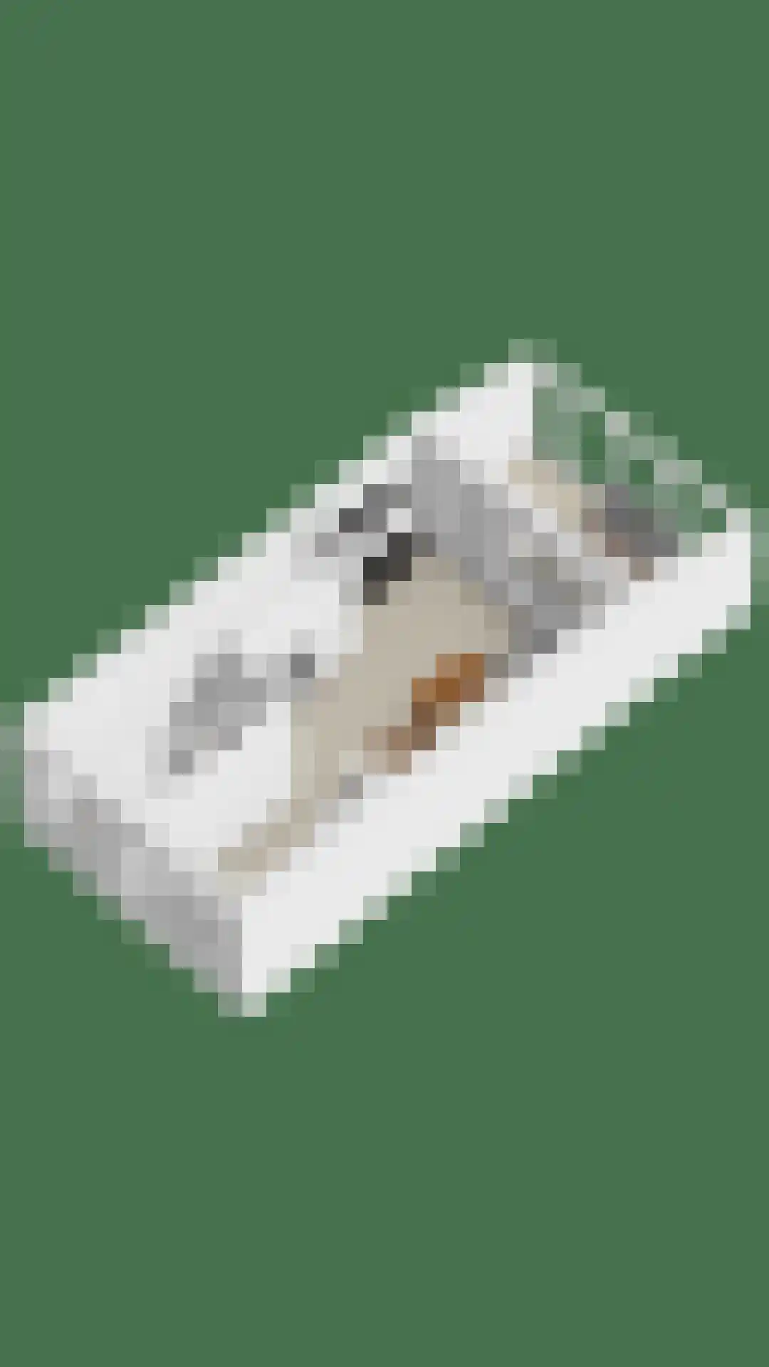 Haaghout 5 Helmond thumbnail 42