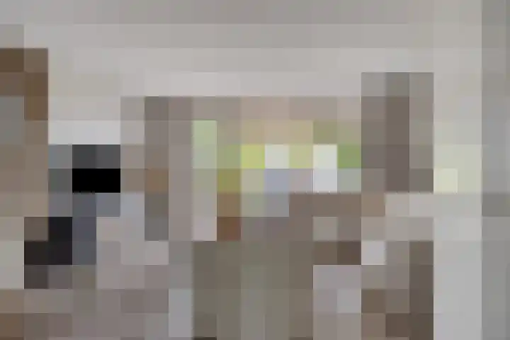Haaghout 6 A Helmond thumbnail 11