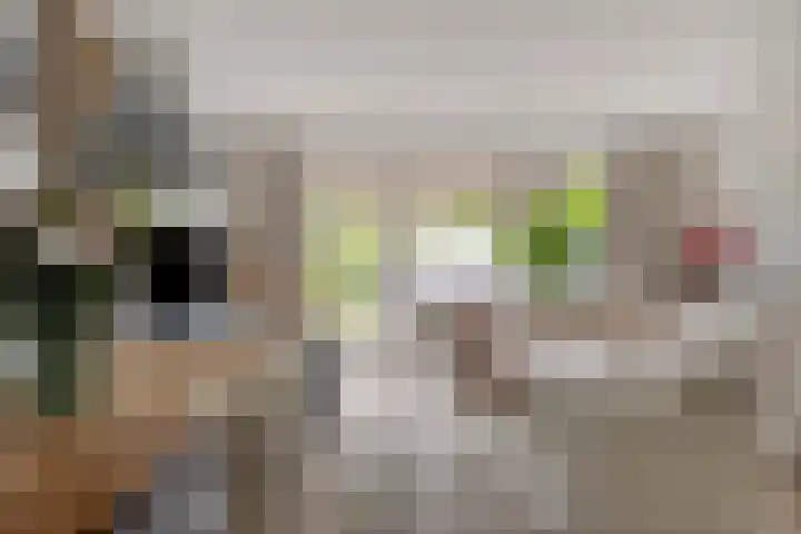 Haaghout 6 A Helmond thumbnail 12