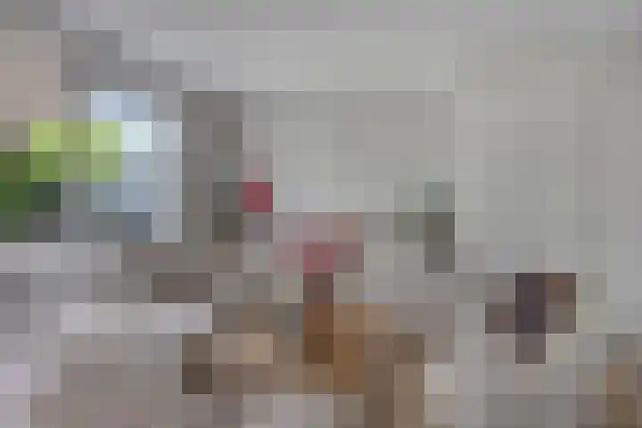 Haaghout 6 A Helmond thumbnail 14
