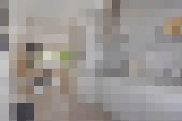 Haaghout 6 A Helmond thumbnail 17