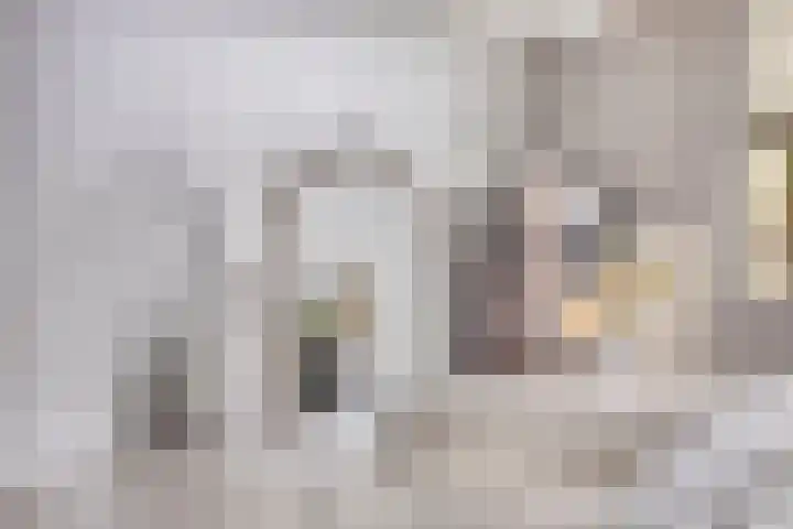 Haaghout 6 A Helmond thumbnail 18