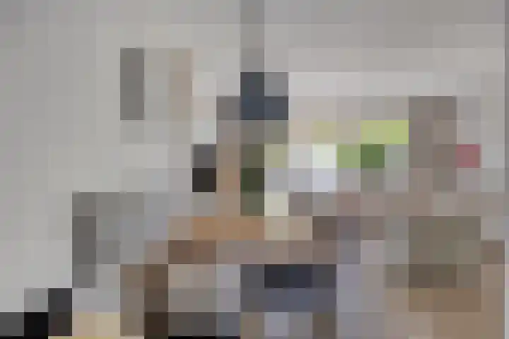 Haaghout 6 A Helmond thumbnail 23