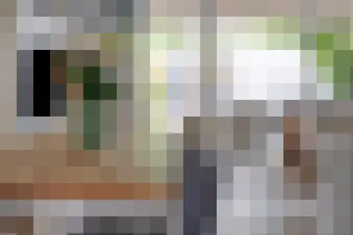 Haaghout 6 A Helmond thumbnail 26