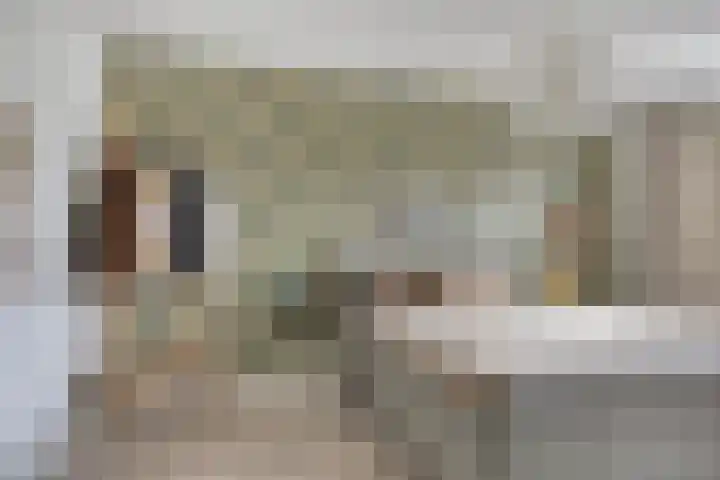 Haaghout 6 A Helmond thumbnail 28