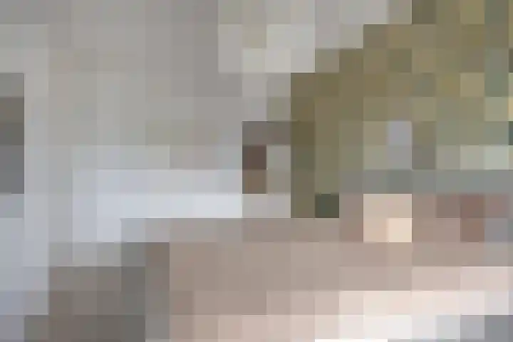 Haaghout 6 A Helmond thumbnail 30
