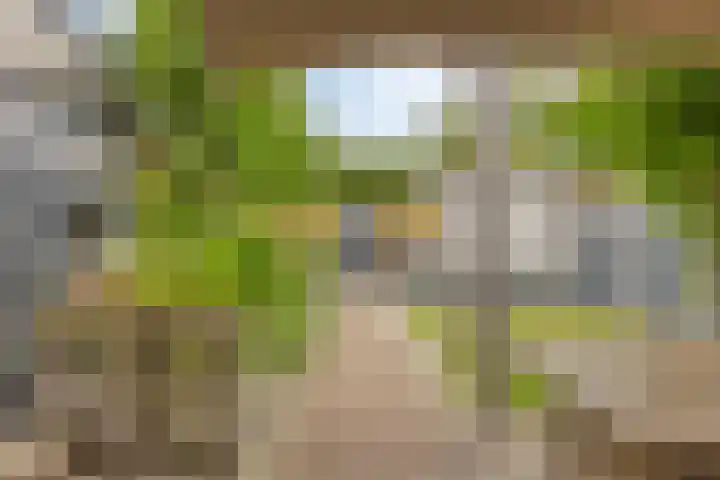 Haaghout 6 A Helmond thumbnail 36