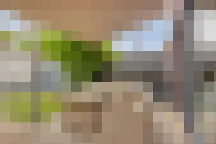 Haaghout 6 A Helmond thumbnail 37