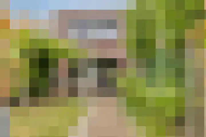 Haaghout 6 A Helmond thumbnail 38
