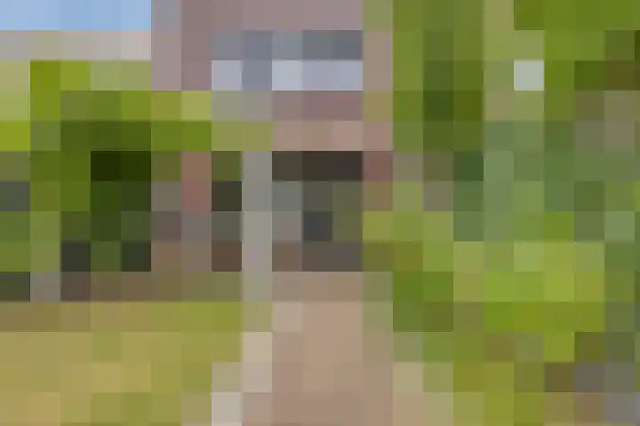 Haaghout 6 A Helmond thumbnail 39