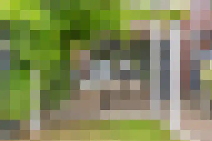 Haaghout 6 A Helmond thumbnail 40