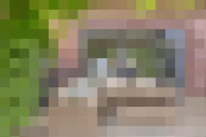 Haaghout 6 A Helmond thumbnail 41