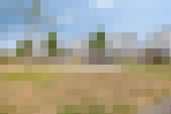 Haaghout 6 A Helmond thumbnail 42