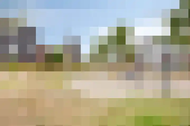 Haaghout 6 A Helmond thumbnail 43