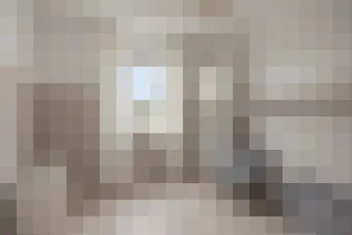 Haaghout 6 A Helmond thumbnail 5