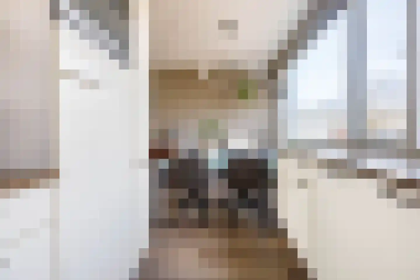 Haaghuishof 4 Leiderdorp thumbnail 12