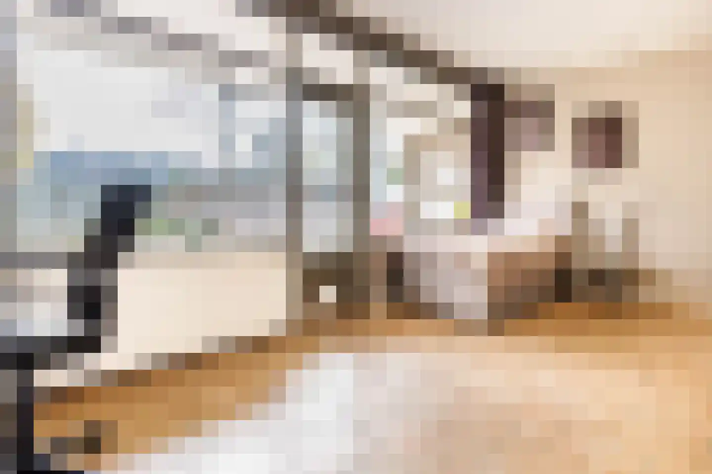 Haaghuishof 4 Leiderdorp thumbnail 22