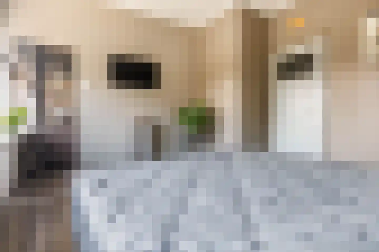 Haaghuishof 4 Leiderdorp thumbnail 26