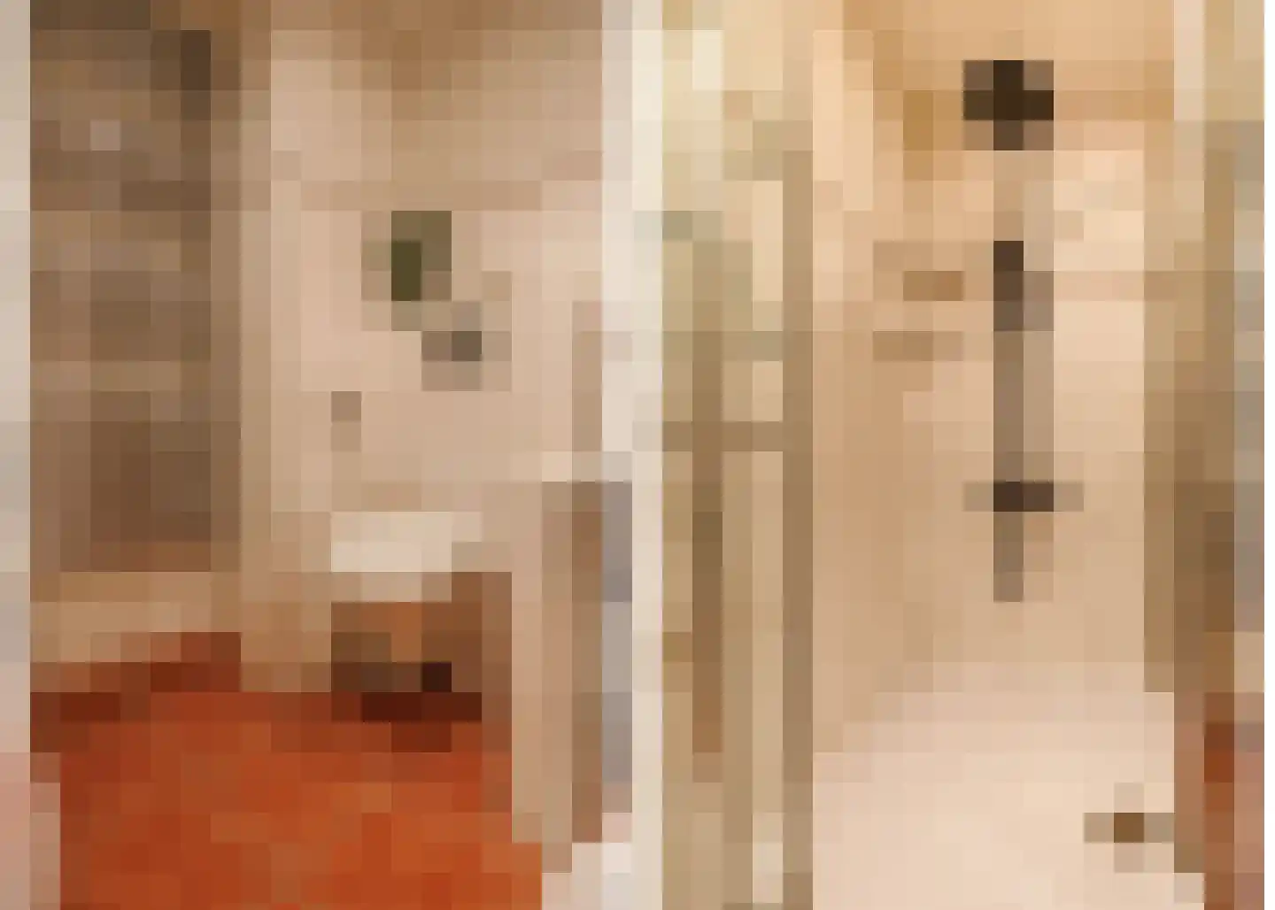 Haaghuishof 4 Leiderdorp thumbnail 35