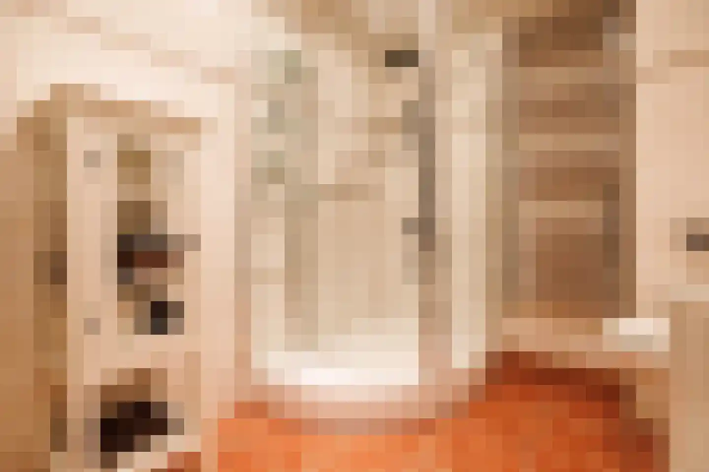 Haaghuishof 4 Leiderdorp thumbnail 36