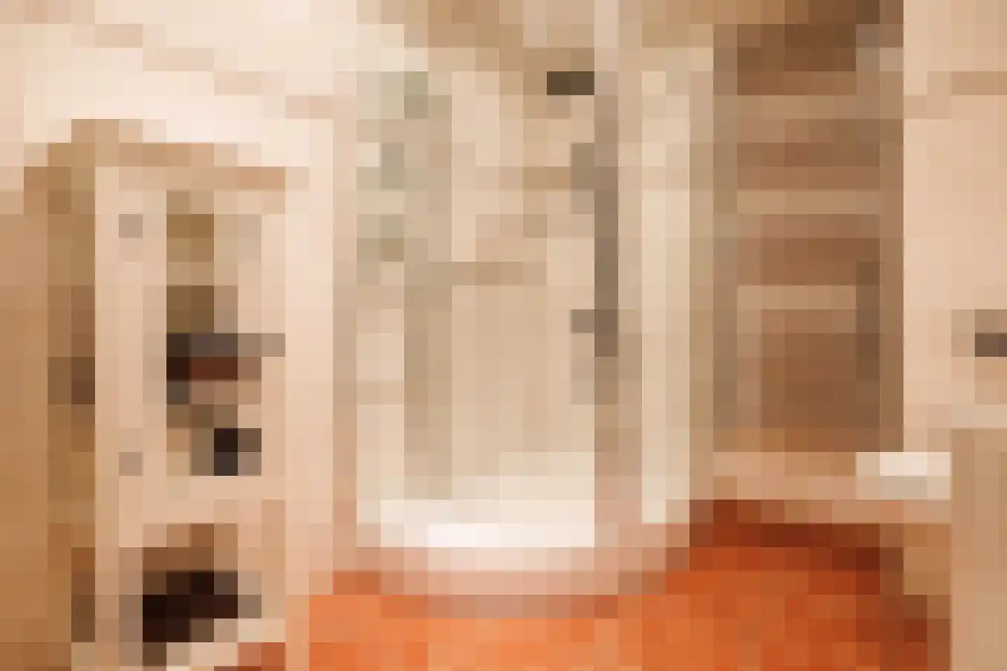 Haaghuishof 4 Leiderdorp thumbnail 36