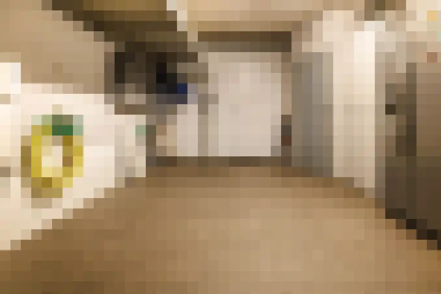 Haaghuishof 4 Leiderdorp thumbnail 39