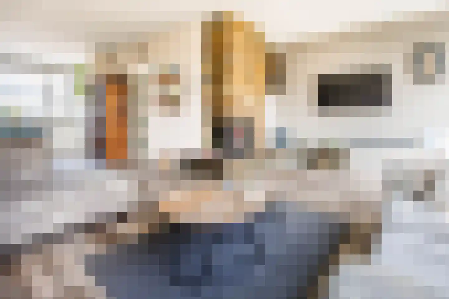 Haaghuishof 4 Leiderdorp thumbnail 4