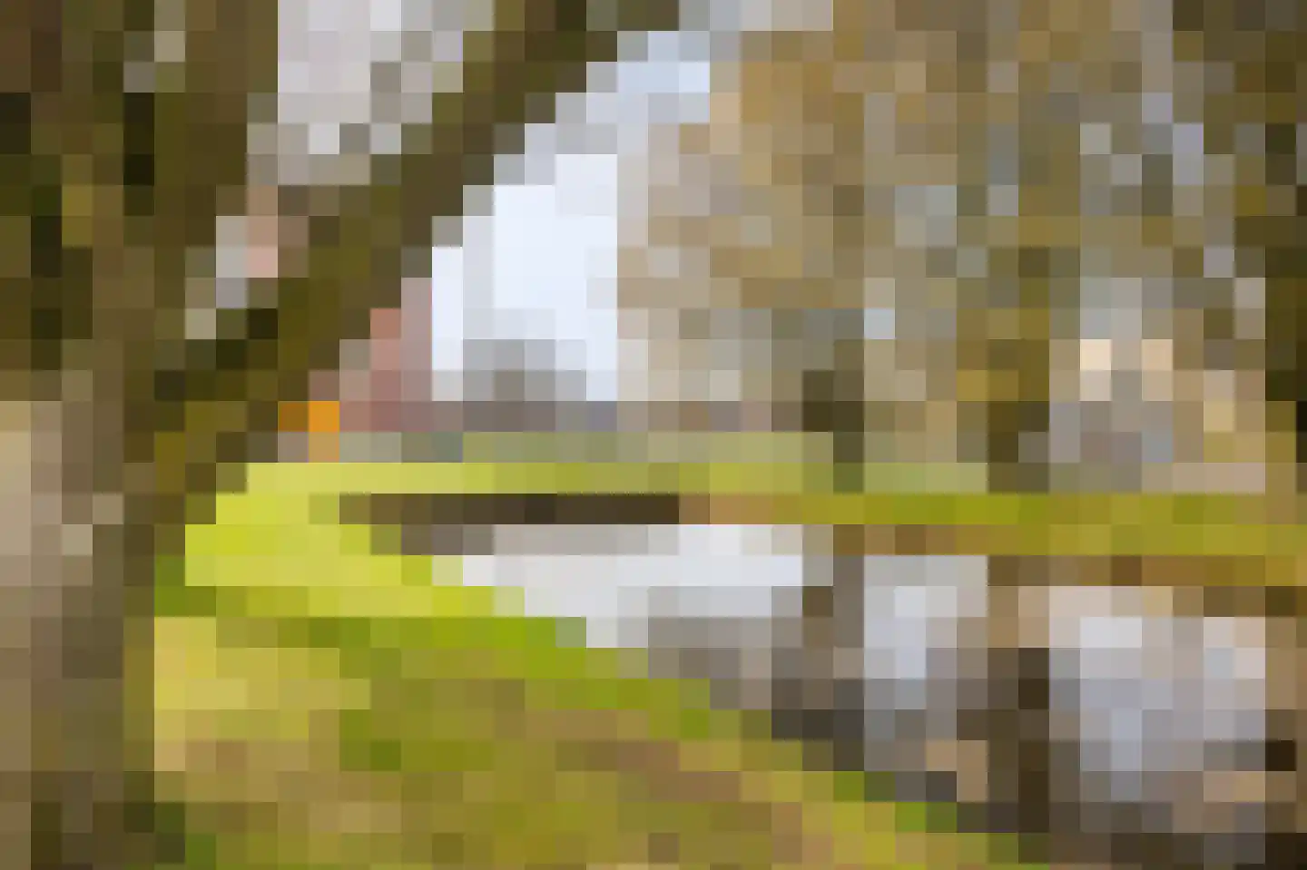 Haaghuishof 4 Leiderdorp thumbnail 45