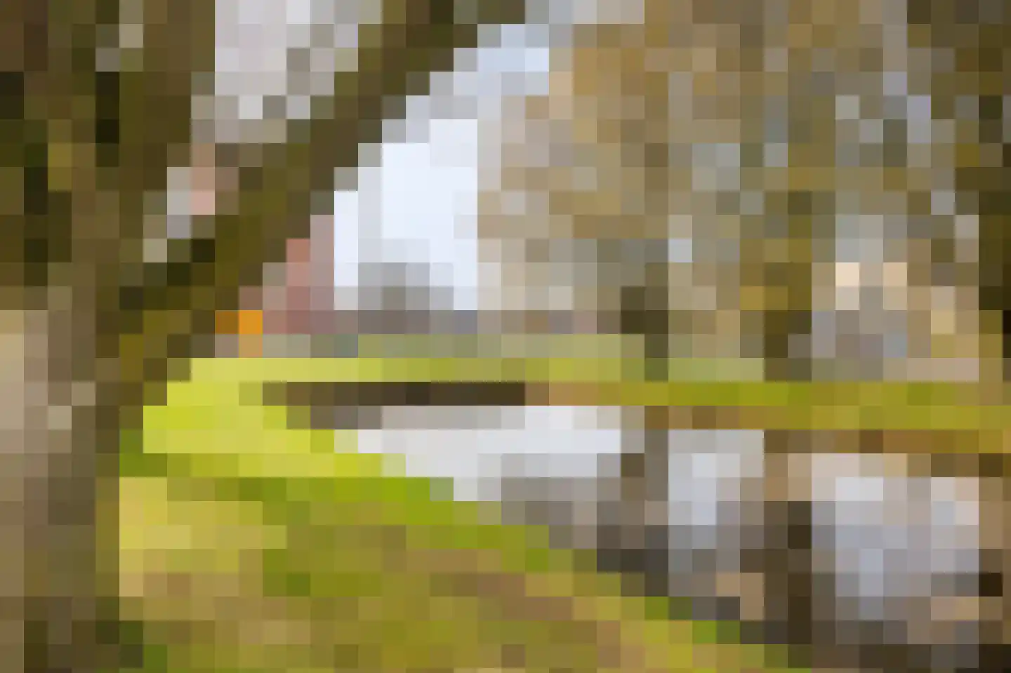 Haaghuishof 4 Leiderdorp thumbnail 45