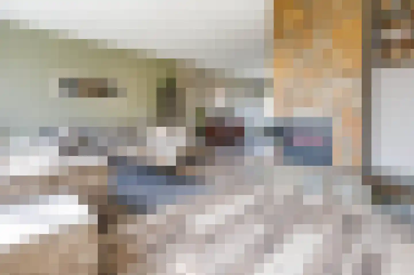 Haaghuishof 4 Leiderdorp thumbnail 5