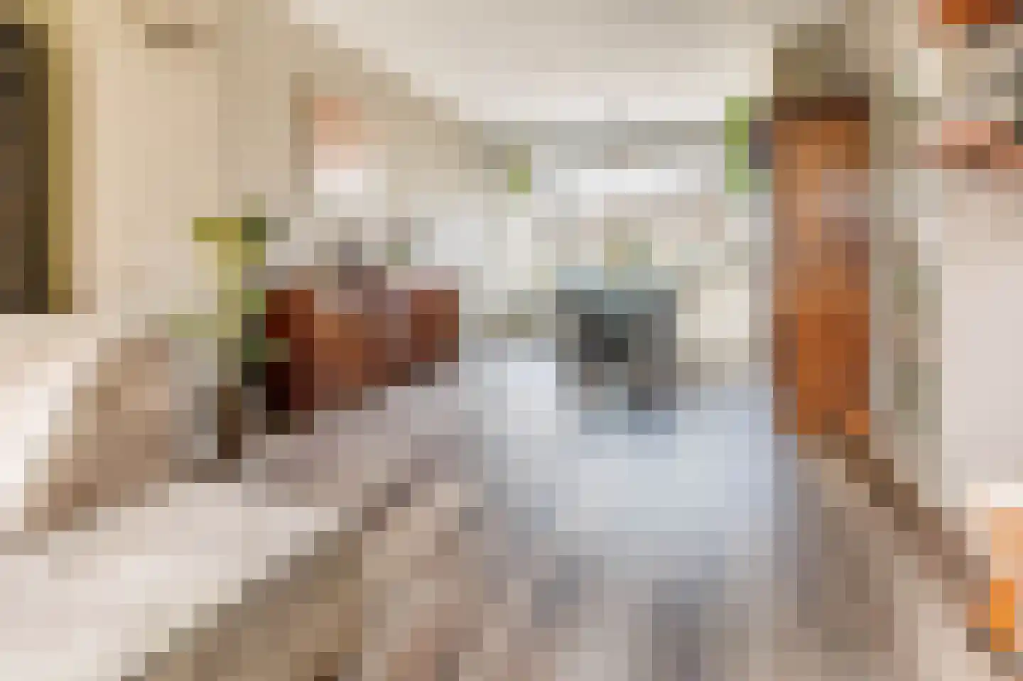 Haaghuishof 4 Leiderdorp thumbnail 7
