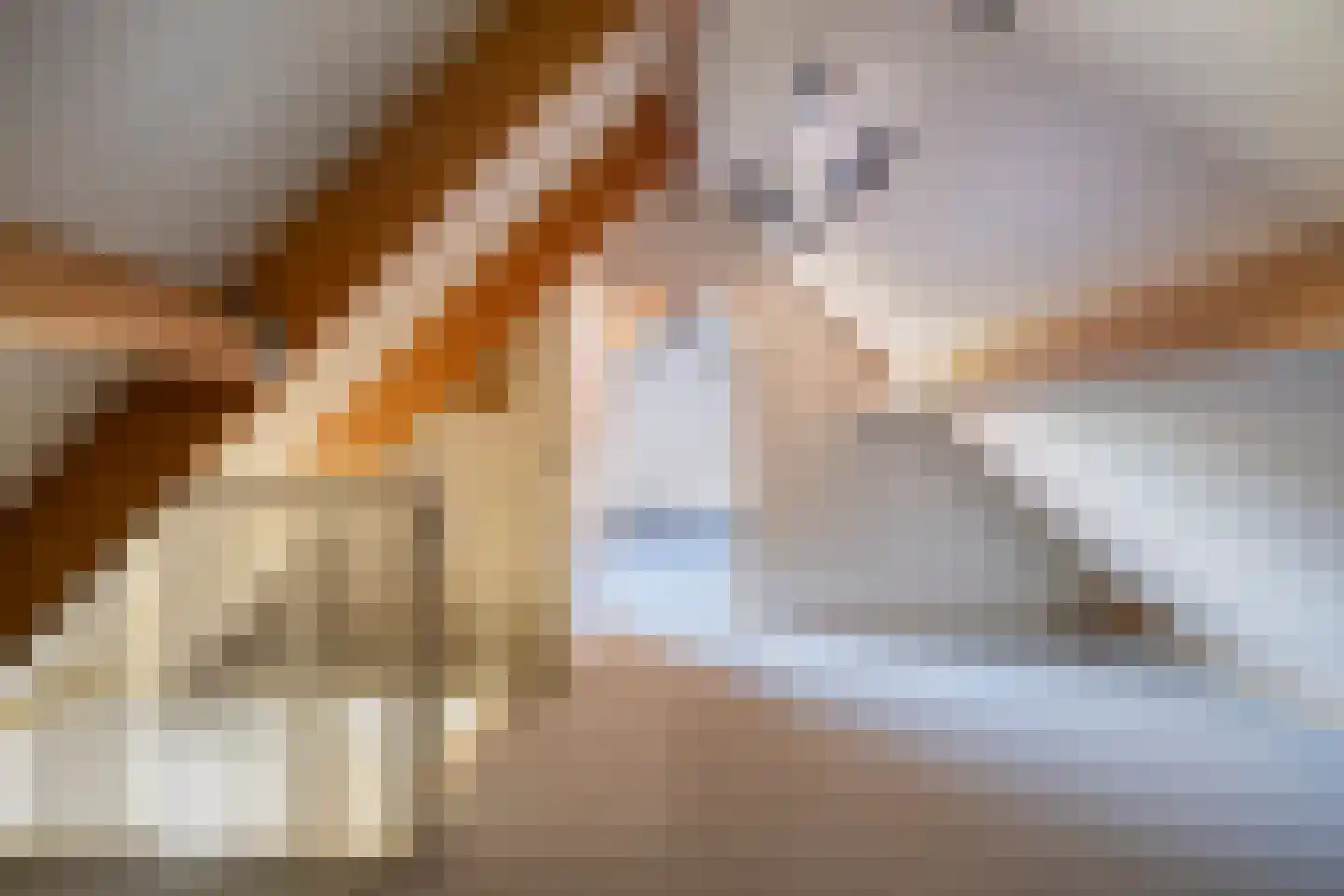 Haaghuizen 54 Roermond thumbnail 18