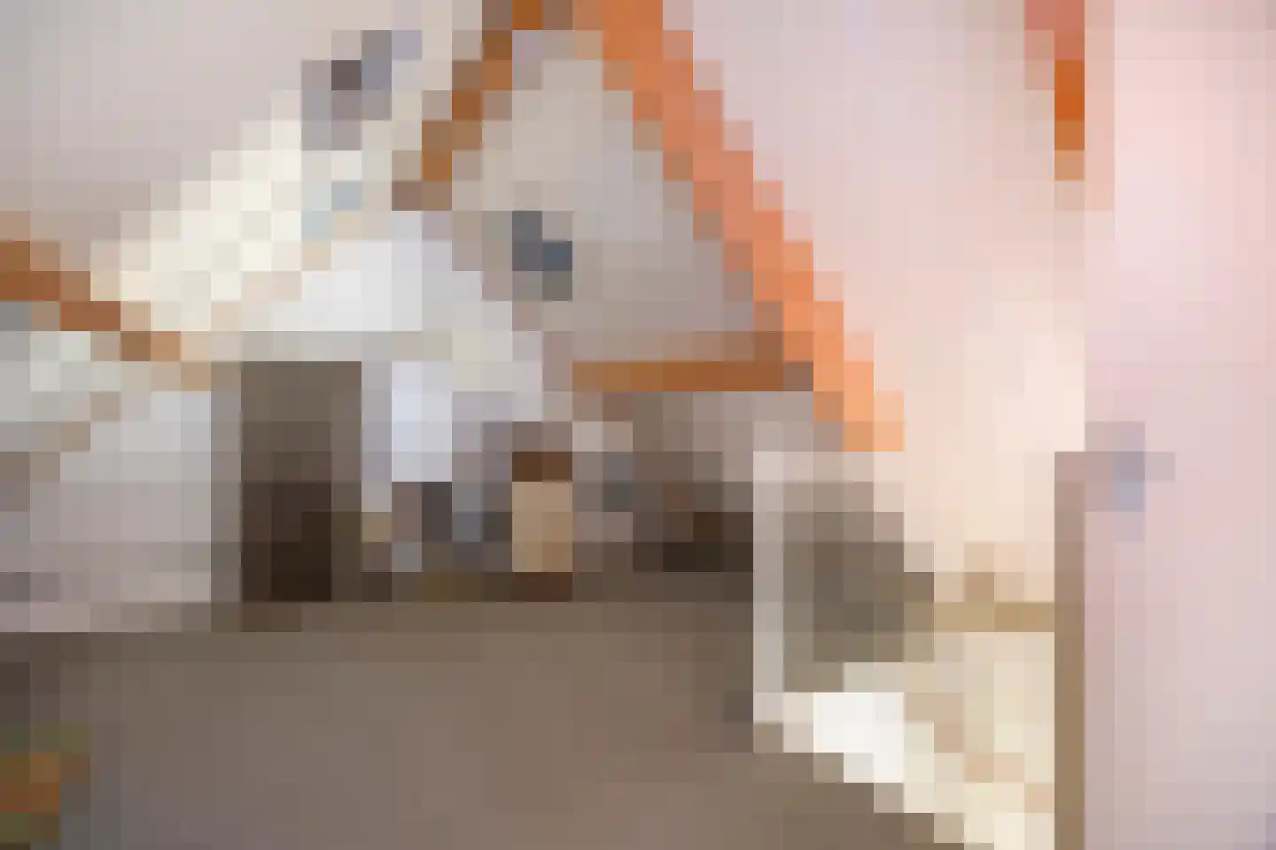 Haaghuizen 54 Roermond thumbnail 21