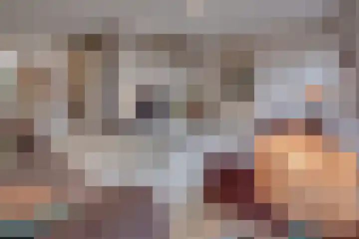 Haaghuizen 56 Roermond thumbnail 11