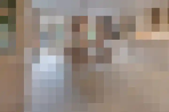 Haaghuizen 56 Roermond thumbnail 12