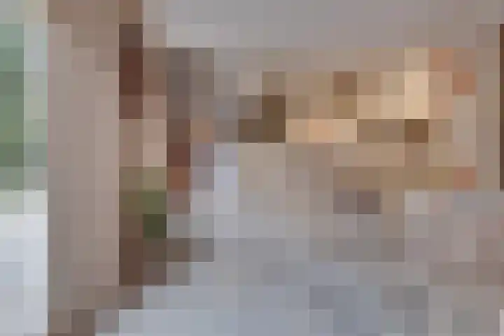 Haaghuizen 56 Roermond thumbnail 14
