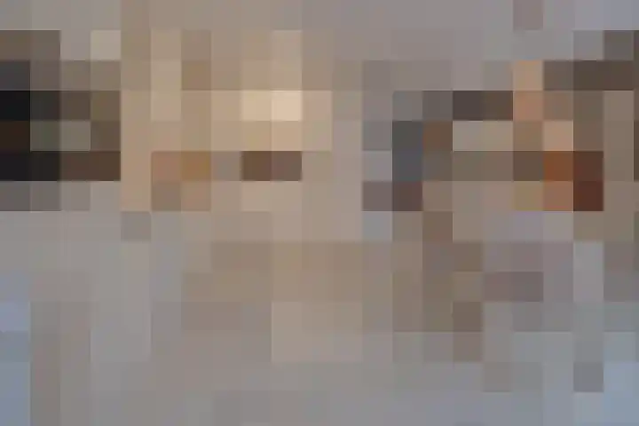 Haaghuizen 56 Roermond thumbnail 15