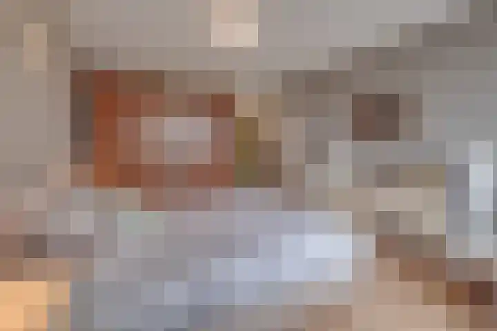 Haaghuizen 56 Roermond thumbnail 21