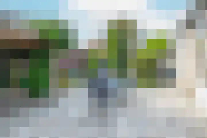 Haaghuizen 56 Roermond thumbnail 30