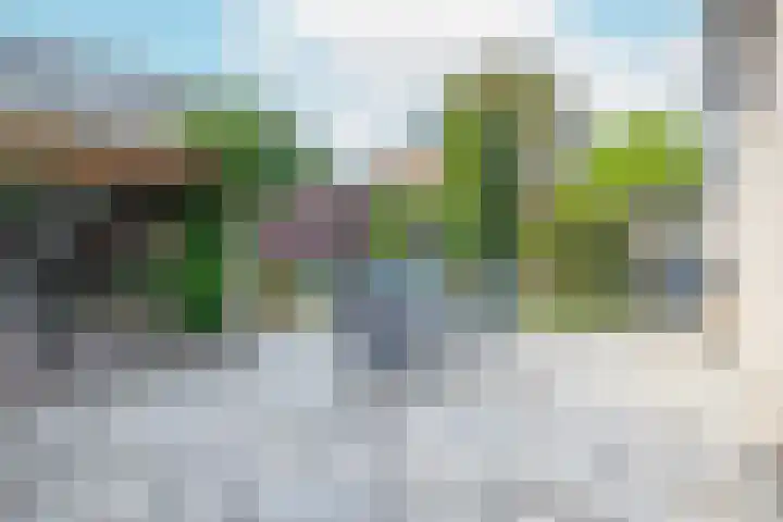 Haaghuizen 56 Roermond thumbnail 32