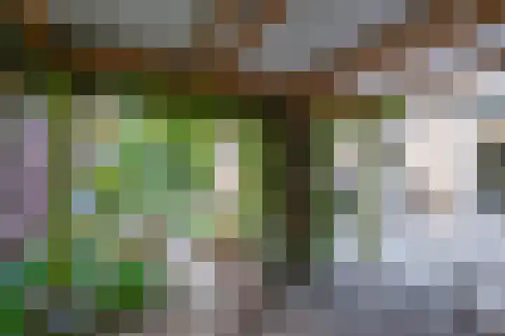 Haaghuizen 56 Roermond thumbnail 33