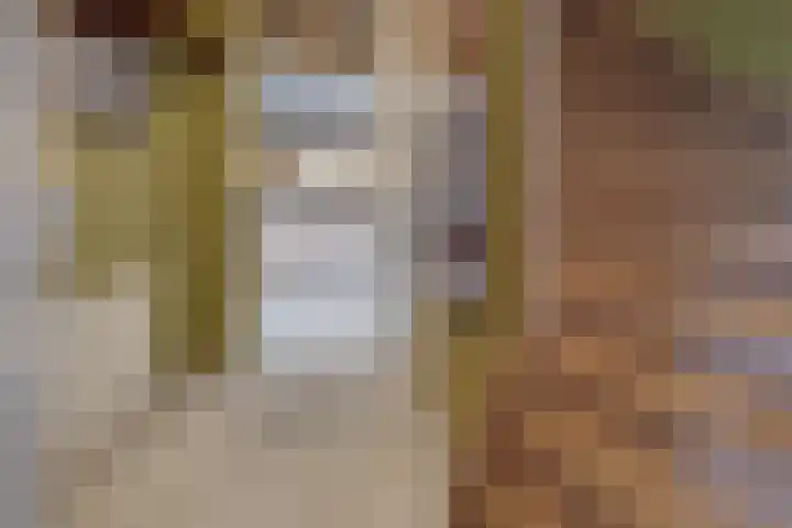 Haaghuizen 56 Roermond thumbnail 5