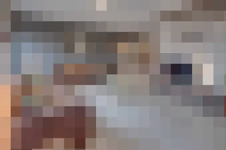 Haaghuizen 56 Roermond thumbnail 9