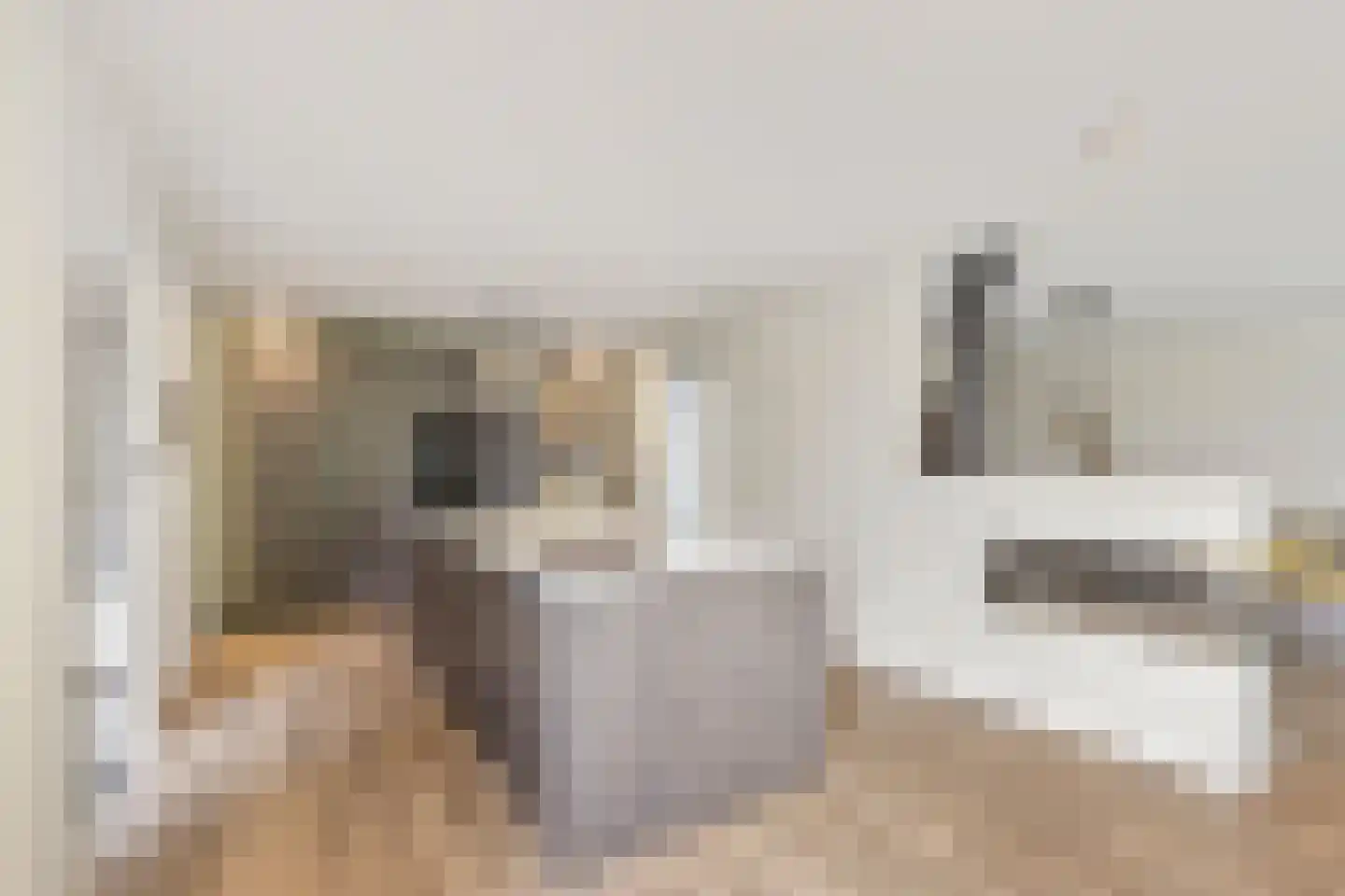 Haaghweg 12 a Didam thumbnail 12