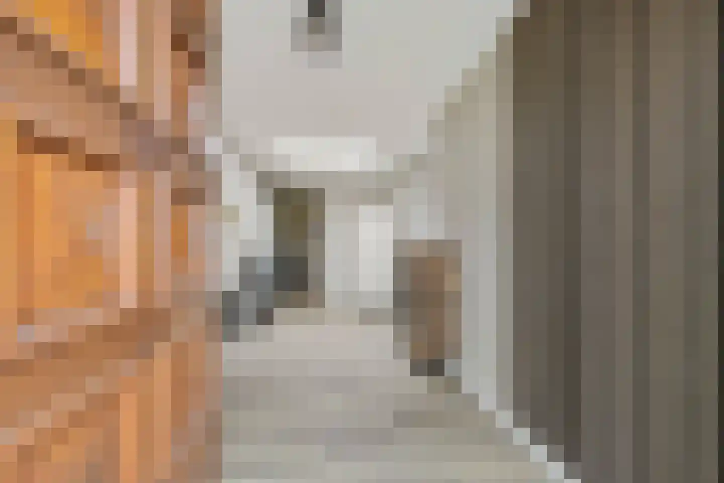 Haaghweg 12 a Didam thumbnail 13