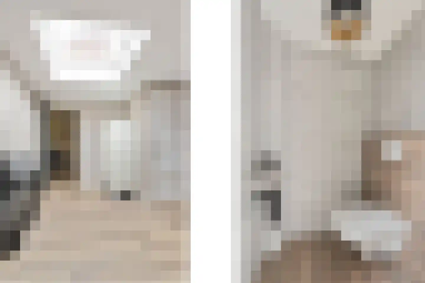 Haaghweg 12 a Didam thumbnail 14