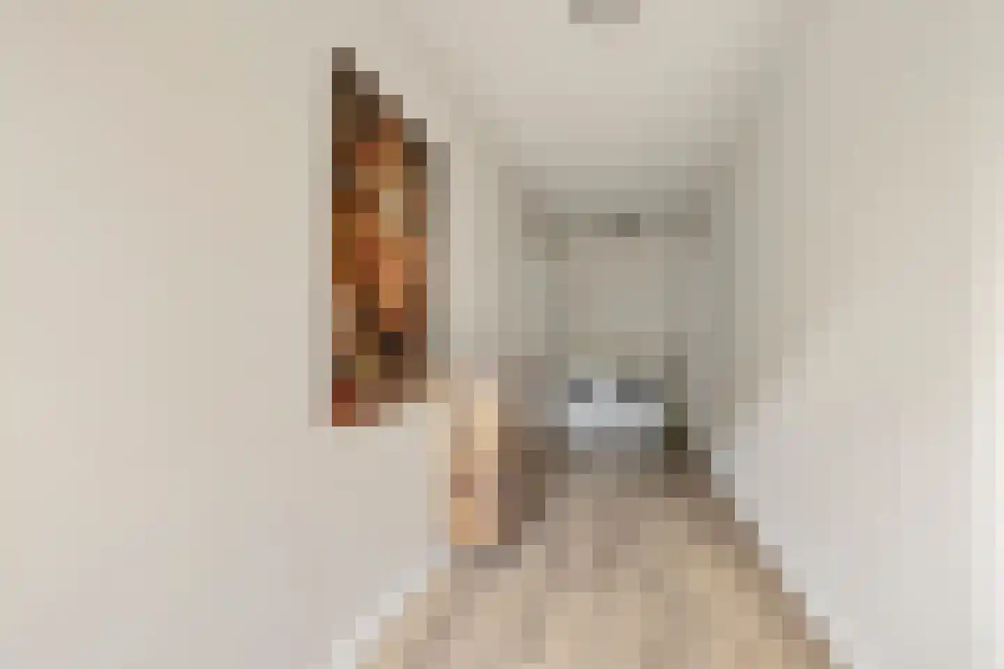 Haaghweg 12 a Didam thumbnail 18