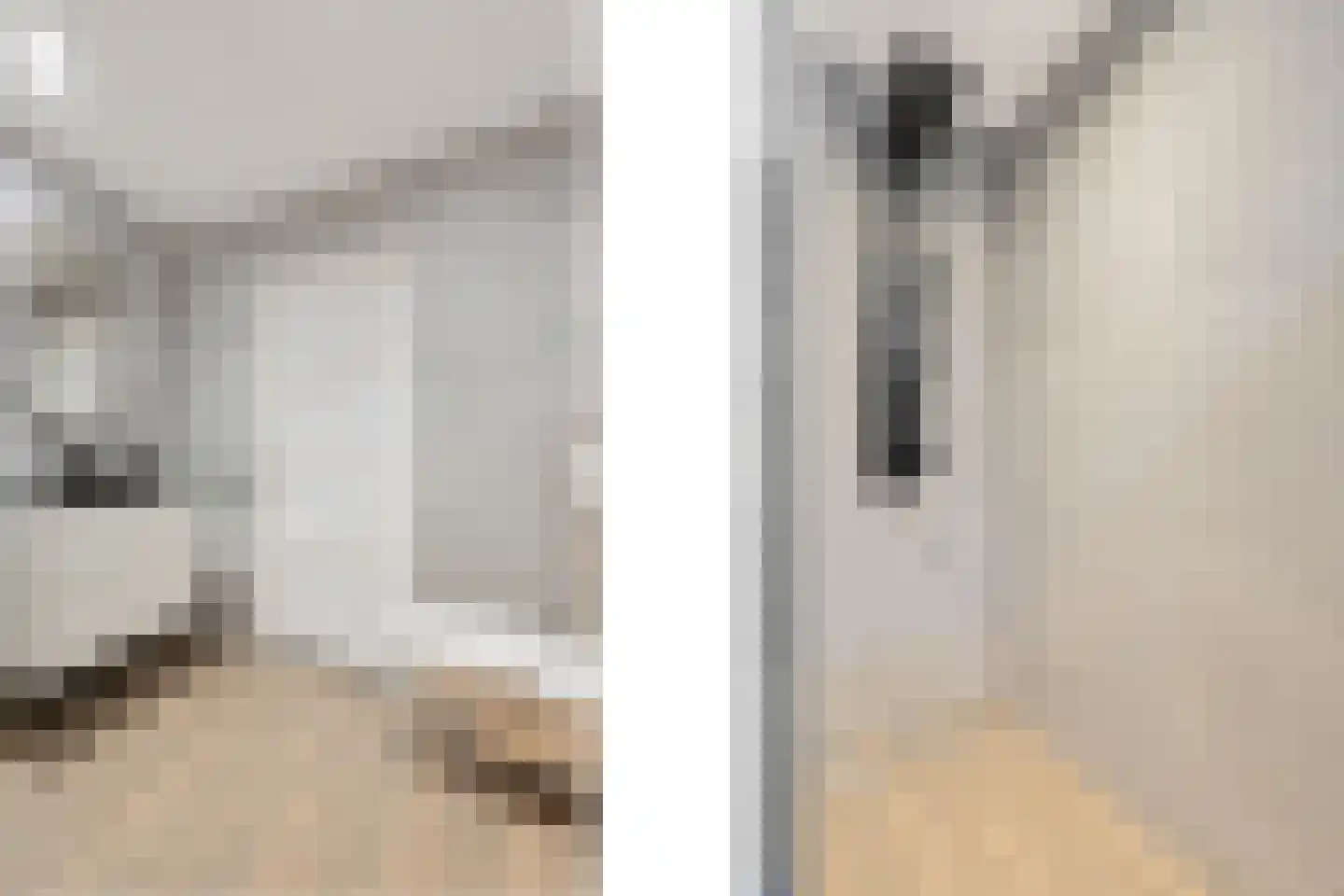 Haaghweg 12 a Didam thumbnail 20