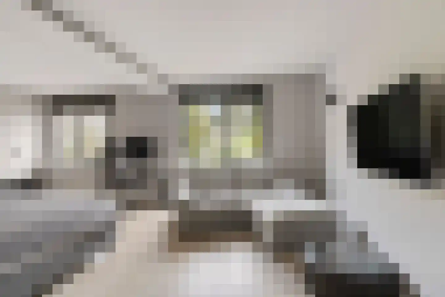 Haaghweg 12 a Didam thumbnail 21