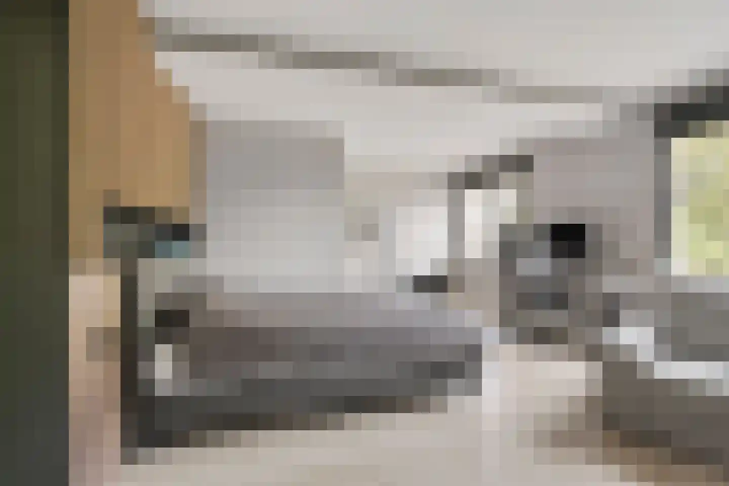 Haaghweg 12 a Didam thumbnail 22
